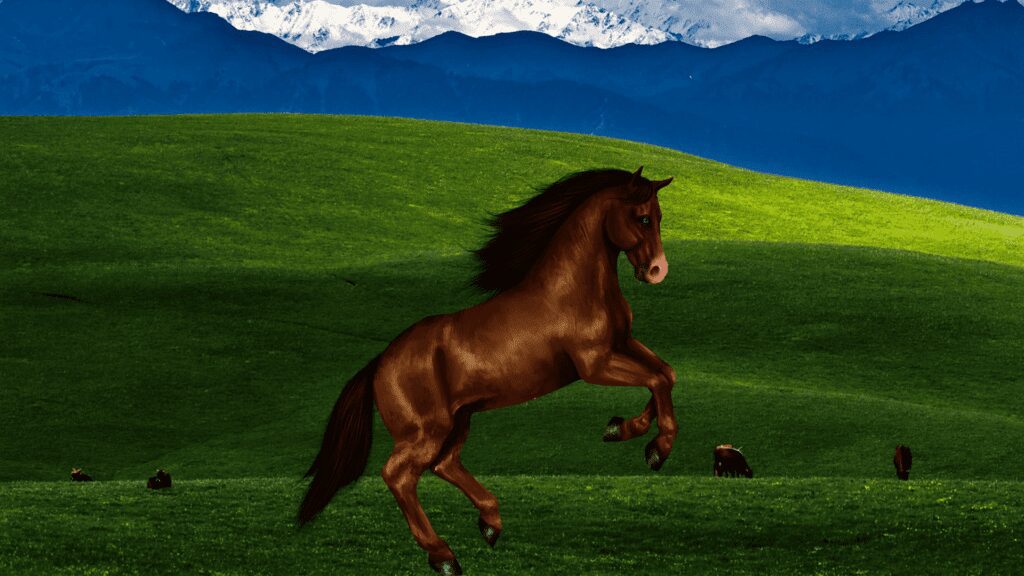 9de2d8e8ce233c2e20d83baa0b2ed6ca 00001 compressed