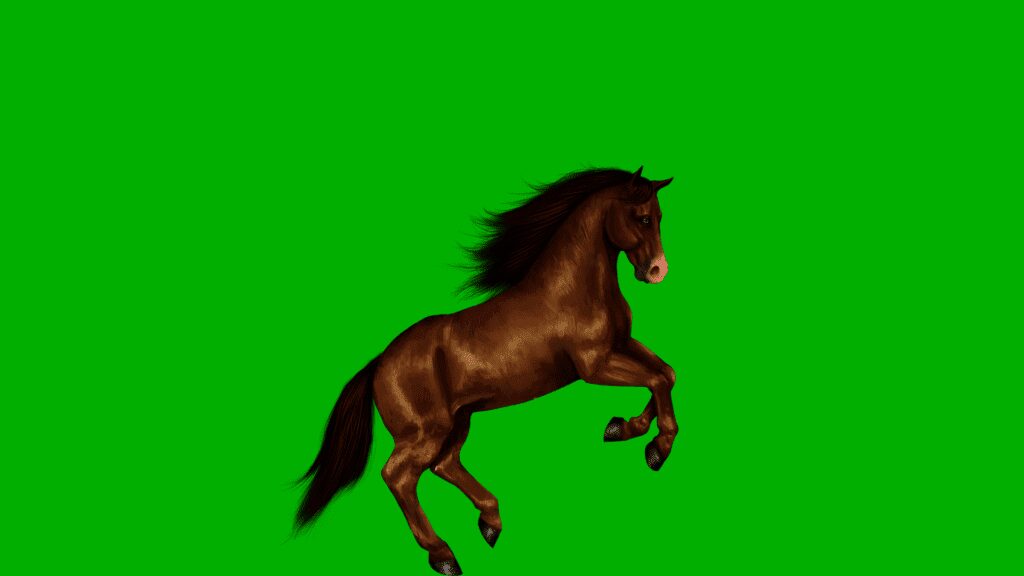 9de2d8e8ce233c2e20d83baa0b2ed6ca 00002