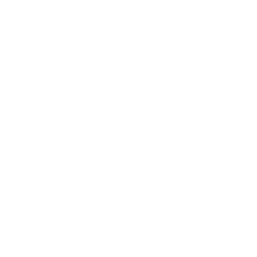戴尔1
