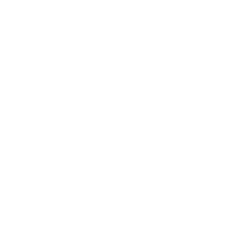 戴尔1