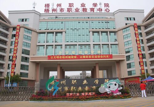 成功案例 391 梧桐职业学院